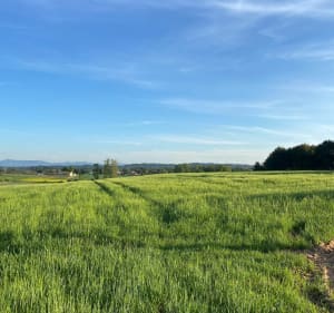 Balade à vélo dans la campagne entre Venelles et Puyricard - Aix-en-Provence - 2