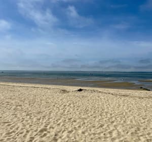Familiewandeling van Pereire naar Moulleau - Le Moulleau - 2