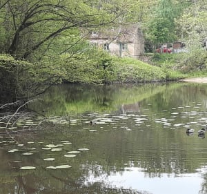 Petite balade autour de Longueval et la Sauldre - Romorantin-Lanthenay - 2