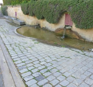 Le chemin aux noisetiers - Cutry - 2