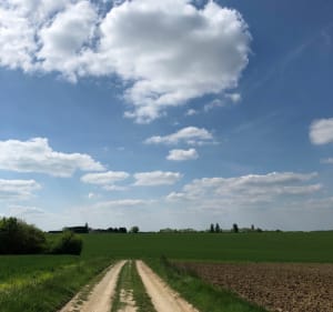 Balade dans les champs du Berry - Rouvres-les-Bois - 2