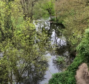 Ontdekking van de paden en routes langs de oevers van de Sèvres en de Moine - Gétigné - 2