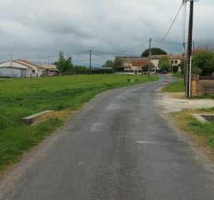 A travers vignes - Saint-André-de-Cubzac - 2