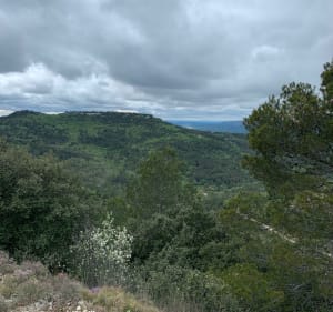Crète de la Chaîne des Côtes - Lambesc - 2