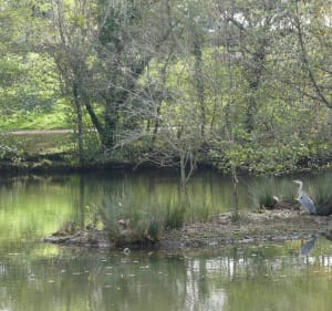 Balade à Pessac au départ du Bougnard - Dominique - 4