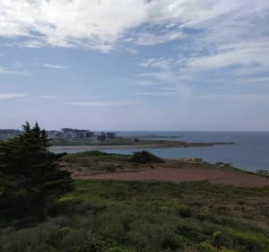Île Grande et Sommet de la lande - Pleumeur-Bodou - 2