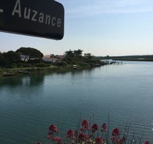 Balade à la gachère : le port de baleiniers et les marais - Estelle - 4