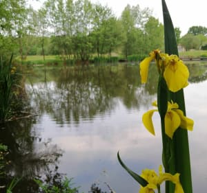 Promenade au cœur de la Boissière des Landes - La Boissière-des-Landes - 2