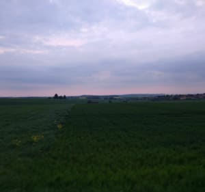 Promenade de Villers-la-Montagne à un ouvrage de la ligne Maginot - Simon - 4