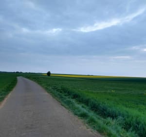 Promenade de Villers-la-Montagne à un ouvrage de la ligne Maginot - Simon - 3