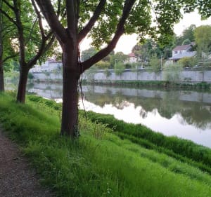 Le long des rives de Meurthe "Malzeville - Tomblaine" - Nancy - 2