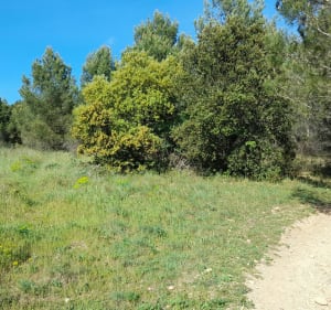 Rando/Trail à Vaucroze-Sorgues - Sorgues - 2