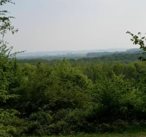 Marche en forêt au départ de Boult aux Bois . - Boult-aux-Bois - 2