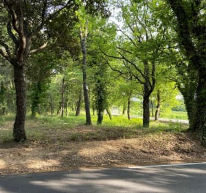 Sortie route dans la campagne de Puyricard - Aix-en-Provence - 2