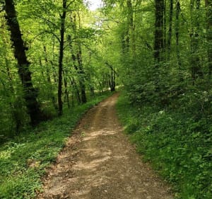 Escapade dans les Bois de Chenières - Mexy - 2