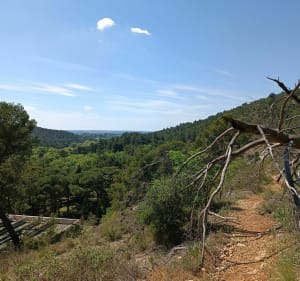 Les falaises de Valabre - Gardanne - 5
