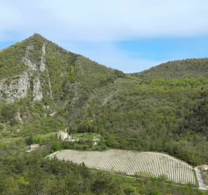 Très belle randonnée au Mont Cougoir - Teyssiéres - 2