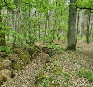 Château de Plaisir - 9km - Les Clayes-sous-Bois - 5