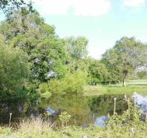 Boucle du Poirier - Aubigny-Les Clouzeaux - 2