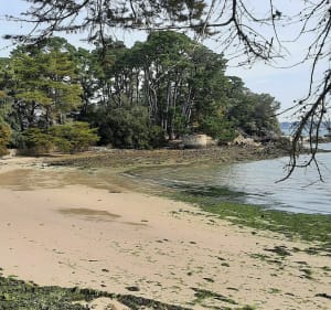 Île de Berder - Larmor-Baden - 3