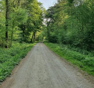 Promenade à Saint-Nicolas - Hussigny-Godbrange - 2