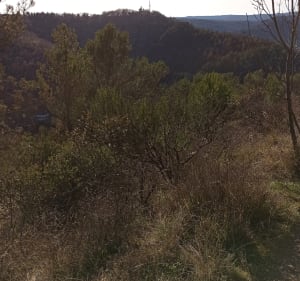 Boucle du Mont Saint-Cyr - Cahors - 5