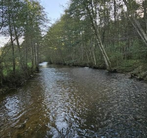 Wandel rond het meer van Saint Clément - Saint-Clément, Le Mayet-de-Montagne - 2