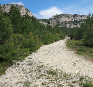 Wandeling naar Caume Saint Remy de Provence - Saint-Rémy-de-Provence - 2