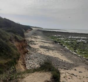 Pointe du Payré-pad - Jard-sur-Mer - 2