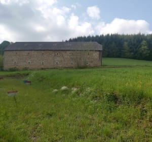De l abbaye à la grange par les chemins forestiers - Calmont - 2