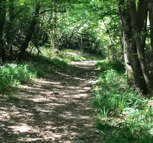Balade en Louze - Clonas-sur-Varèze - 2