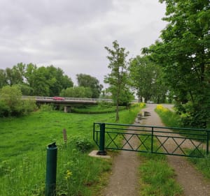 Balade le long de L'Ill      Haut-Rhin , Illzach/Sausheim - PhilippeC - 5