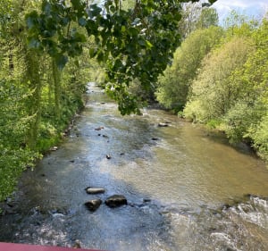Balade dans la forêt et le village de Saint Léonard des bois - Saint-Léonard-des-Bois - 4