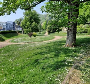 Urban jungle Longwy - Longwy - 2
