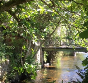 Promenade Bois d’amour, pont aven - Pont-Aven - 2