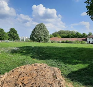 Un tour culturel à Longwy - Longwy - 2