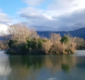 Balade Etang de Villelongue dels Monts + Le tech - Villelongue dels Monts - 2