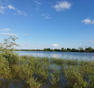 Tour du plan d'eau de Saint-Germier - Saint-Germier - 2