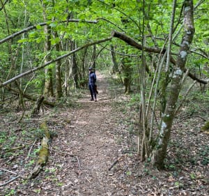 Guignicourt’ine et Bois du haut Bouly - SANDRINE - 3