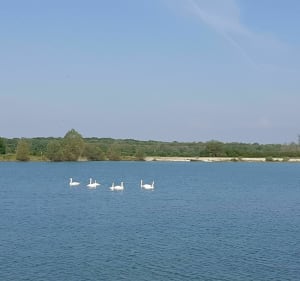 Balade autour de l'étang de la Garenne - Magny-sur-Tille - 2