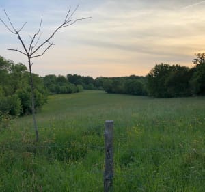 Liaison: De Moulin-Papon à la vallée de l’Yon - La Roche-sur-Yon - 2