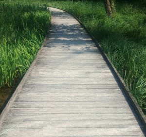 Noisiel Park - Grote weidelus. - Gournay sur Marne - 2