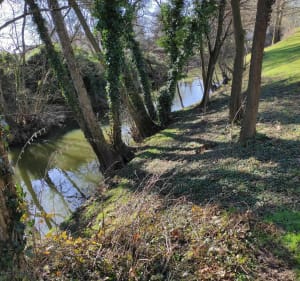Balade au fil de la Chalaronne - Saint-Didier-sur-Chalaronne - 4