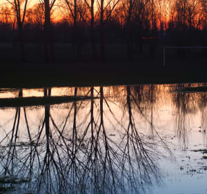 Tour du lac de Beaupuy à Marmande - Beaupuy - 2