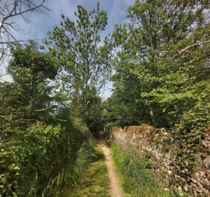Madone bonloculienne et forêts ardéchoises - Saint-Clair - 2