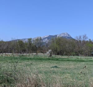 Balade à la base nature de La Garde - La Garde - 2