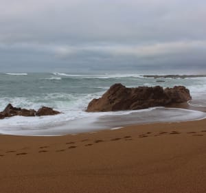 Balade dans les dunes et la plage de la Paracou - Les Sables-d'Olonne - 2