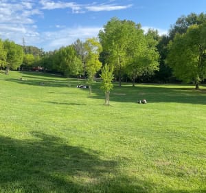 Uitje naar Torse Park - Aix-en-Provence - 2