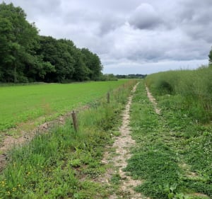 Le Hanouard entre vallée et plateau - Le Hanouard - 3