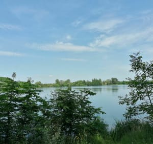 Lac et parc héron Villeneuve D'Ascq - Ronchin - 2